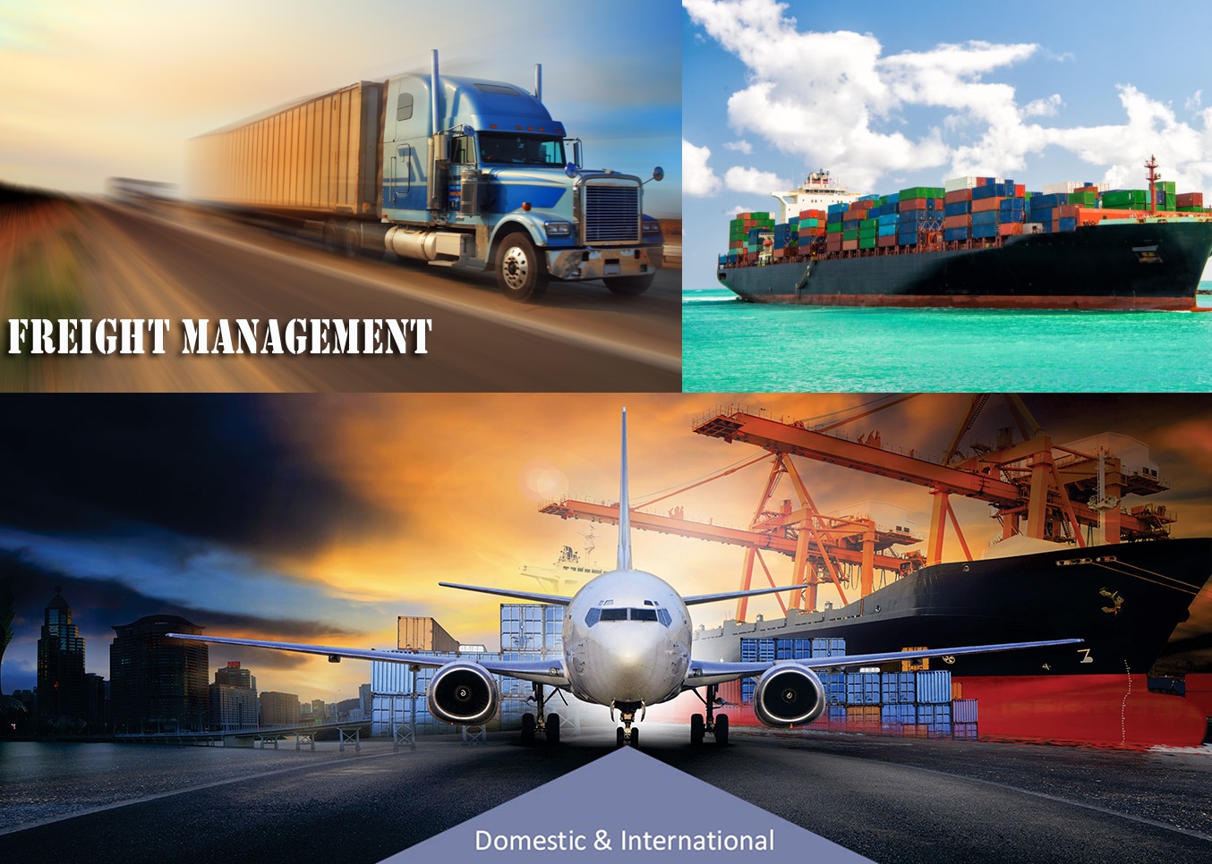 Freight Managements